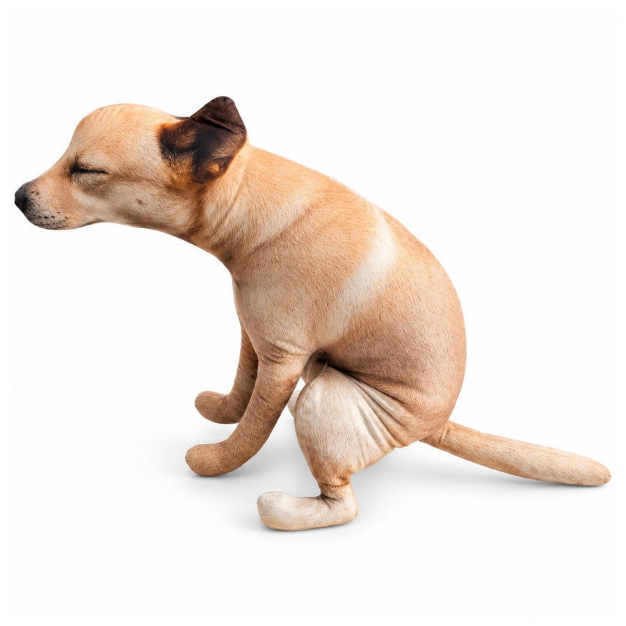 3D Realistic Dog Pooping Pillow, Funny Squatting Dog Plush Decor, Novelty Animal-Shaped Stuffed Cushion