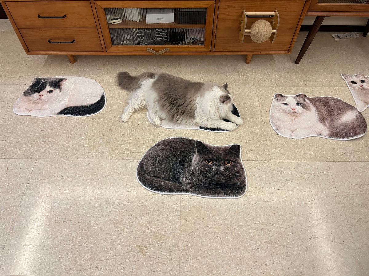 Custom Pet Rug from Photo, Personalized Dog or Cat Shaped Bathroom Mat, Realistic 3D Faux-Cashmere Feel, Non-Slip Machine-Washable Pet Portrait Floor Mat