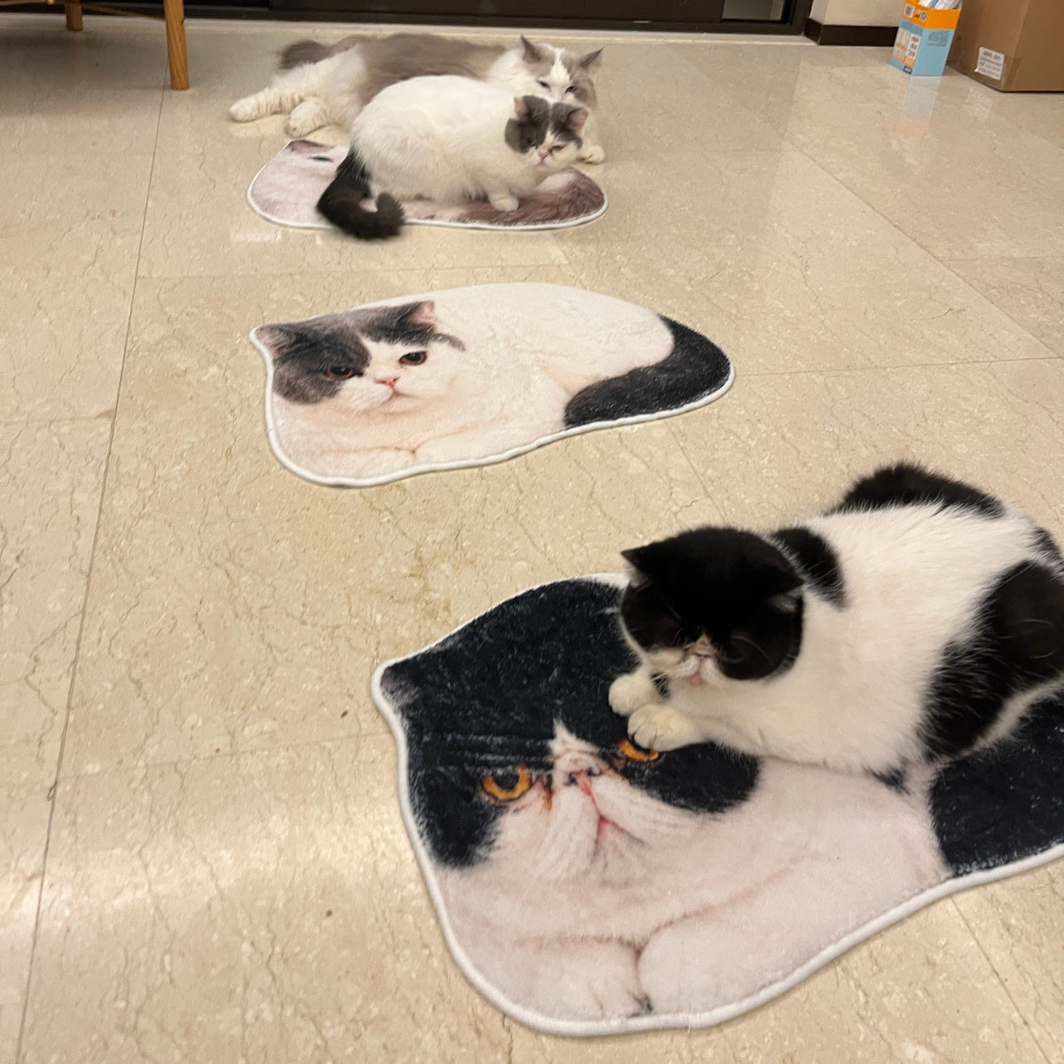 Custom Pet Rug from Photo, Personalized Dog or Cat Shaped Bathroom Mat, Realistic 3D Faux-Cashmere Feel, Non-Slip Machine-Washable Pet Portrait Floor Mat