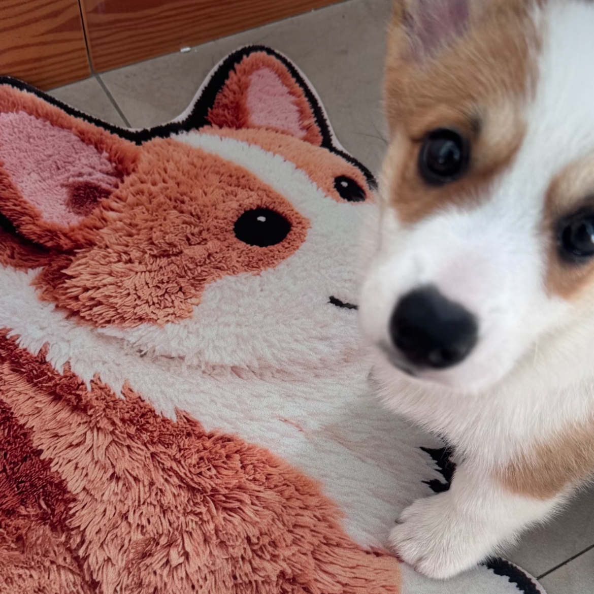 3D Realistic Dog Shaped Bath Mat & Floor Rug - Ultra Soft Absorbent Plush Area Rug, Non-Slip Cute Animal Shaped Door Mat