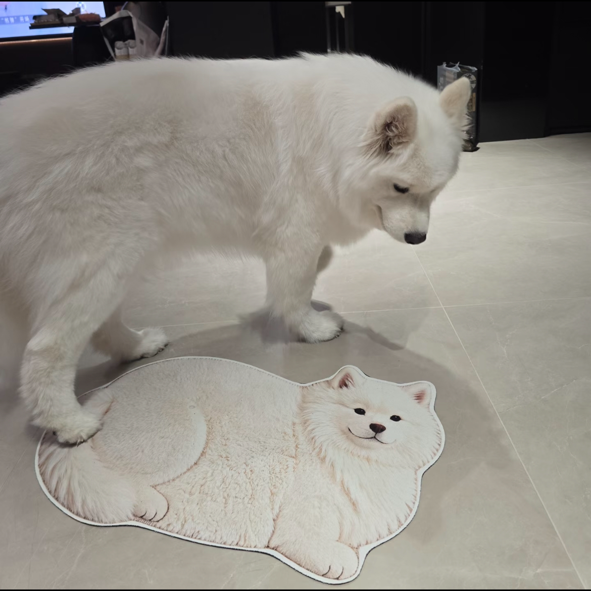 3D Realistic Dog Shaped Bath Mat & Floor Rug - Ultra Soft Absorbent Plush Area Rug, Non-Slip Cute Animal Shaped Door Mat